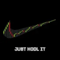 JUST HODL IT Logo