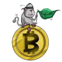 Dont Ape This Logo