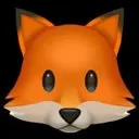 FOX Logo