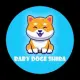 BABY DOGE SHIBA