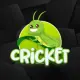 CRICKET