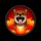 Rise of the Doge