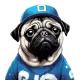 Galactic Pug Coin