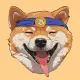 BitDoge