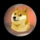 DogeMARS