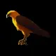Golden crow