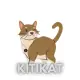 KitiKat