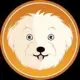 Maltipoo Token