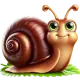 Snail