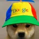 DOOGLE INU