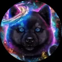 SpaceX Kishu Logo