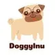 Doggyinu