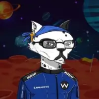 WiseCatToken Logo