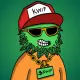 Kushwifhat