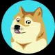 CrazyDoge