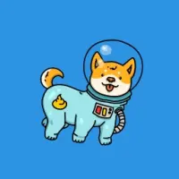 Pooniverse Coin Logo