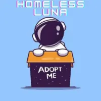 Homeless Luna Logo