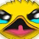 Duck Screener
