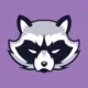 Raccoon Swap