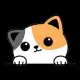 BabyCat Inu