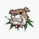 SmokingBullDog