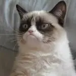GRUMPY Logo
