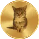 FrancisMiniCat
