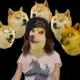 DogeBang