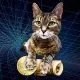 3LegCat
