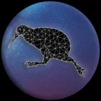 PolyKiwi Finance Logo