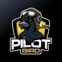 Little Pilot Bird Logo