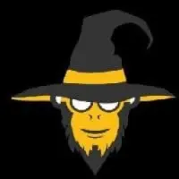 APE WIZARD Logo