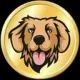 The Real Golden Inu