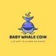 Baby Whale Coin