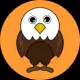 Baby eagle coin