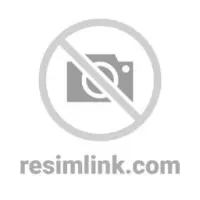 PINK ELEPHANT Logo