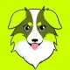 ROBDOG