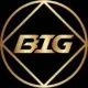 BIG COIN