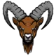 IBEX