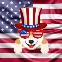 Shibmerican Logo