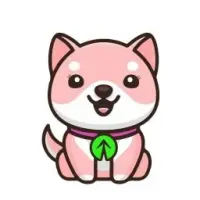 Baby Rise Doge Logo