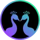 Pavo Coin