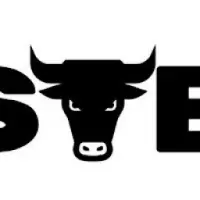 Son of Bitch Logo