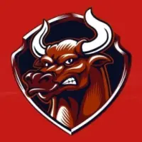 BullishRun Logo