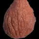 Ballsack