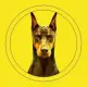 DOBERMAN