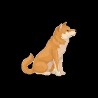 Little Floki Frunkpuppy Coin Logo
