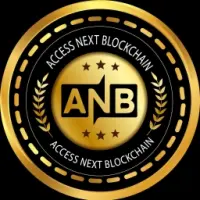 Access Next Blockchain Logo
