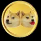 Partner Doge