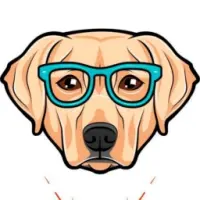 Doogle Token Logo